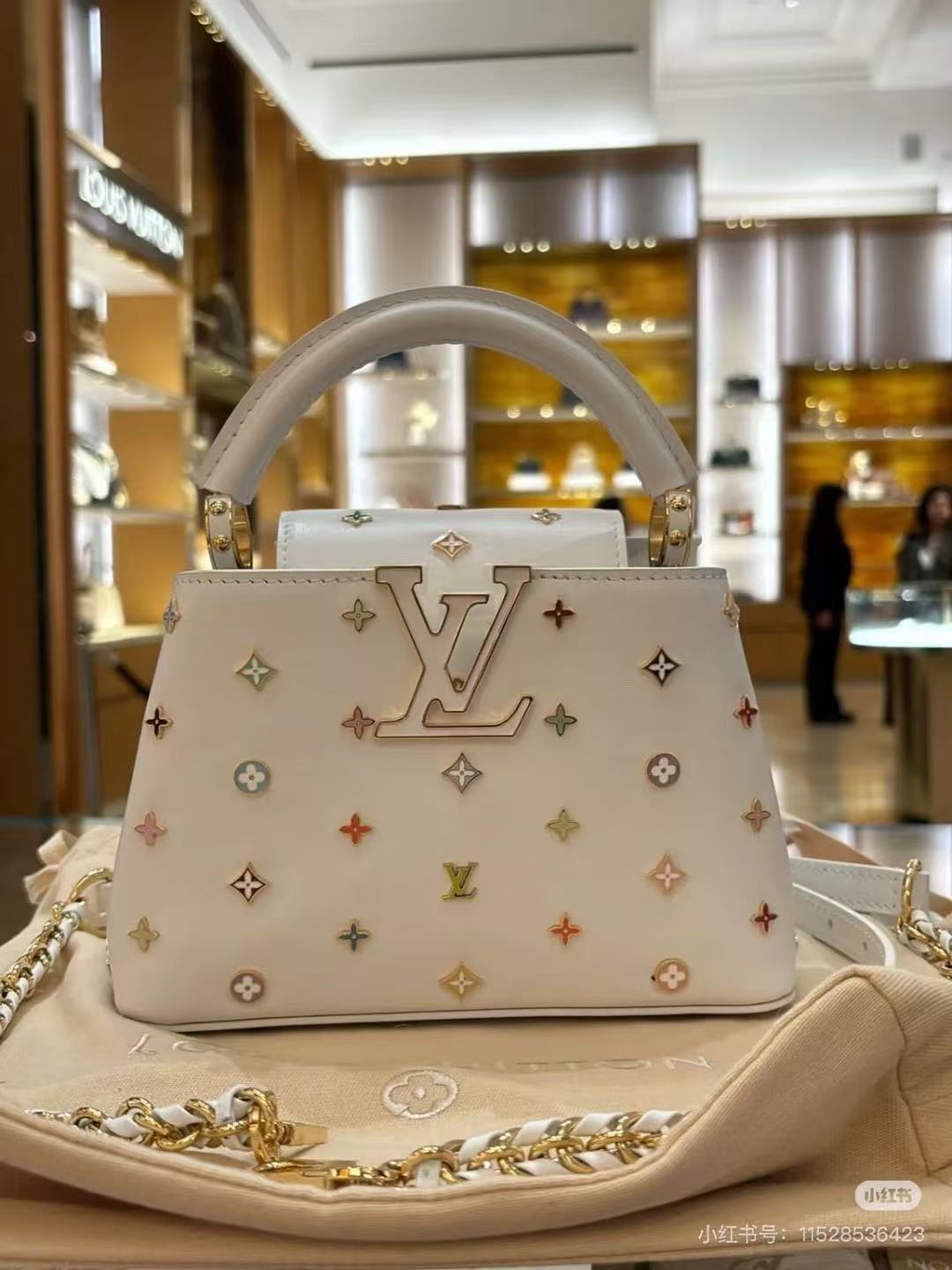 LV CAPUCINES 21 IN MULTICOLOR CALFSKIN GOLD HARDWARE TP2