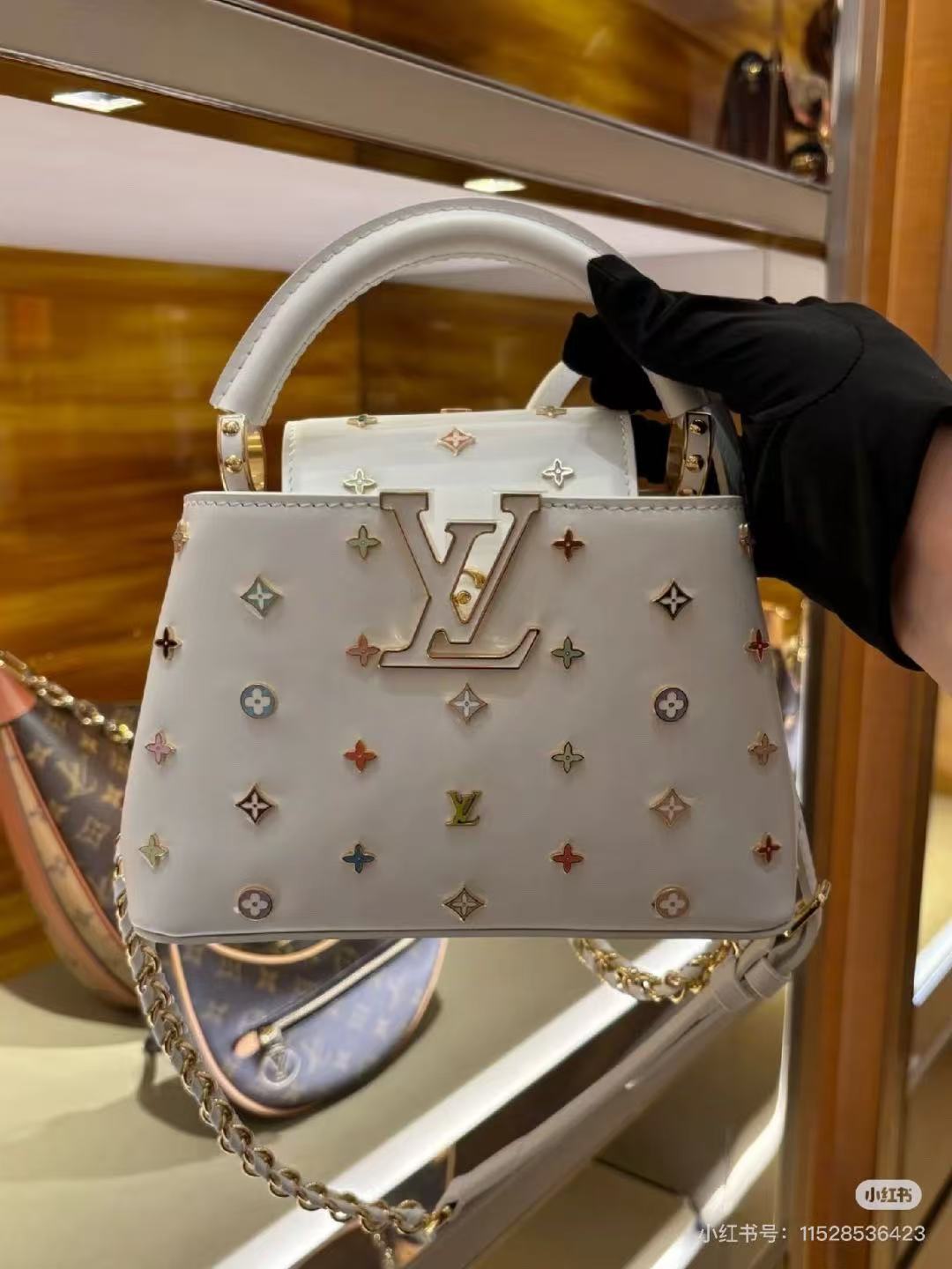 LV CAPUCINES 21 IN MULTICOLOR CALFSKIN GOLD HARDWARE TP2